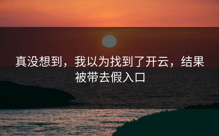 真没想到，我以为找到了开云，结果被带去假入口