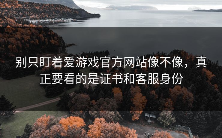 别只盯着爱游戏官方网站像不像，真正要看的是证书和客服身份