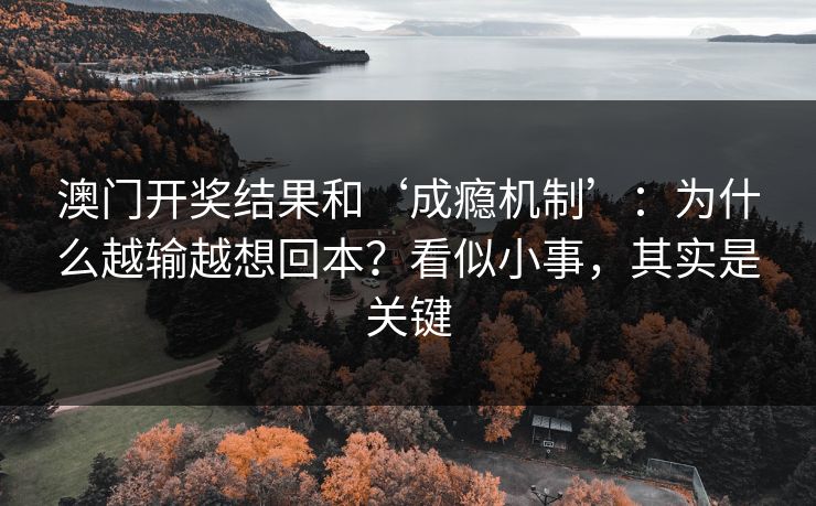 澳门开奖结果和‘成瘾机制’：为什么越输越想回本？看似小事，其实是关键